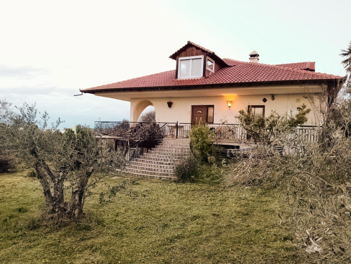The Art House Photo Museum אפאנומי